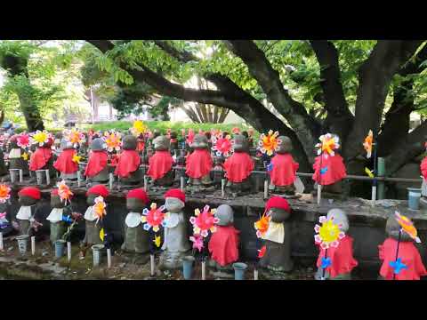 Tokyo Tower & Beyond: Exploring the Iconic Landmarks of Shiba Park
