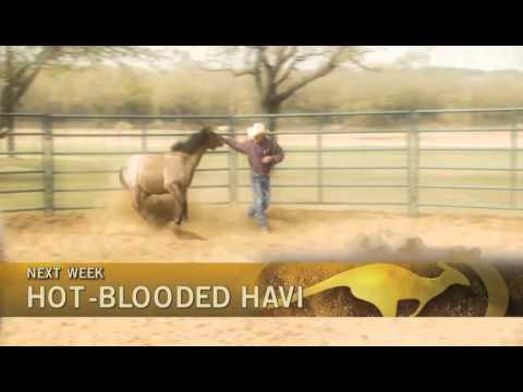 NEW!! On Fox Sports Network, Sunday July 3, 2011:  Hot-Blooded Havi