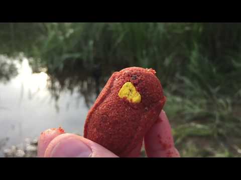 Short session tench fishing on a small pond