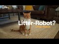 What is that? Litter-Robot. It's a toilet for your cat.
