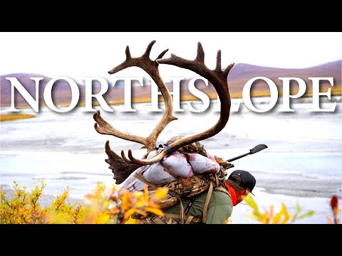 NORTH SLOPE | ALASKA CARIBOU