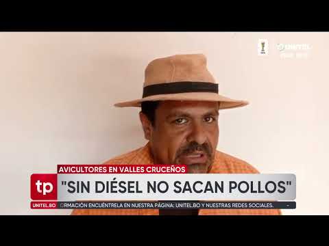 "Sin combustible, no habrá comida", advierten los productores de pollo de los valles cruceños