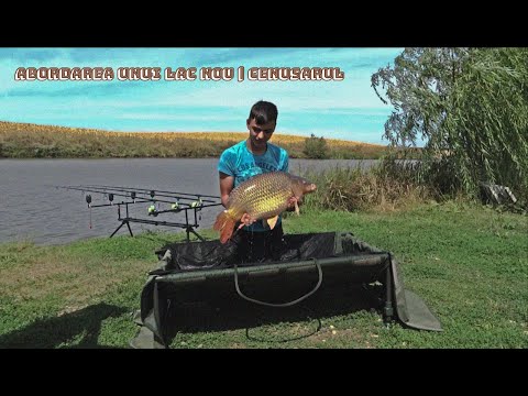 Abordarea unui lac nou | Cenusarul