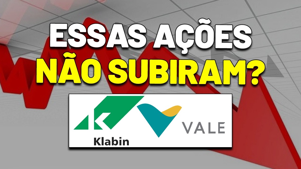 FICARAM ESQUECIDAS APÓS O RALI DA BOLSA? VALE, BRADESPAR, KLABIN, SUZANO e mais