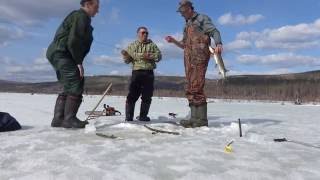 Рыбалка в братске 2017-2018 фион