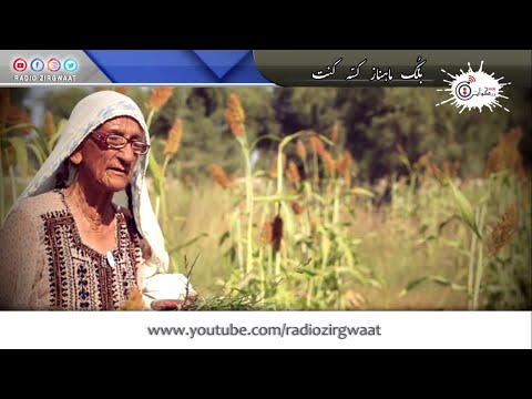 Balluk Mahnaz Kissa Kant