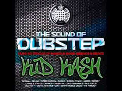 The Qemists Ft Wiley dem na like me