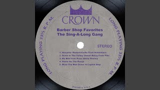 My Wild Irish Rose/ Annie Rooney