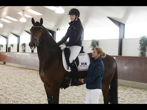 Tips Marlies van Baalen: Je paard voor het been krijgen