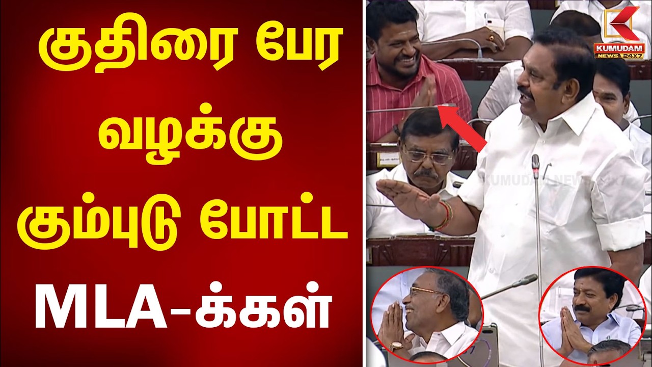 குதிரை பேரவழக்கு கும்புடு போட்ட MLA-க் கள் | Rajmohan | EV Velu | Vasantham Karthikeyan