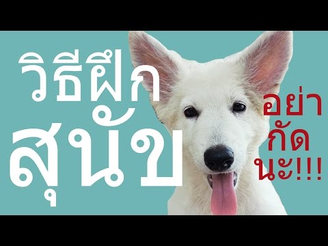 ซัลเฟอร์ในความคิดเห็นของโรคสะเก็ดเงิน การรักษาเร่งด่วนของโรคสะเก็ดเงิน