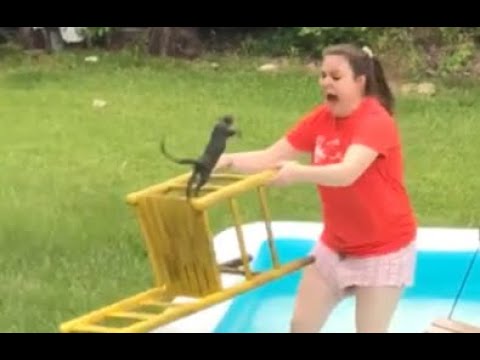 When trying to rescue a squirrel goes wrong & NECRO comes on!!