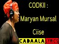 Maryan Mursal Ciise Heestii Laabtaan Ku Dhigan Laa Official Video 2021