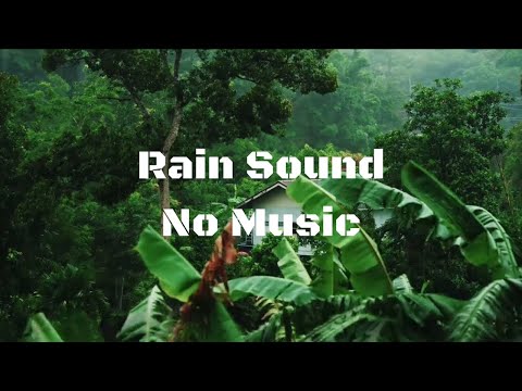 Regengeräusche zum Einschlafen (60 Min.) Regen, Gewitter, Rain ASMR #rainsounds #rain #regen