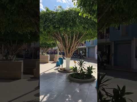 VISITANDO LA CIUDAD DE HUARMEY EN ANCASH   LUNES 24 DE AGOSTO   PARTE 07