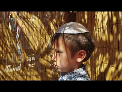 🌴🌿Kiddush In The Sukkah 5778 🌿🌴