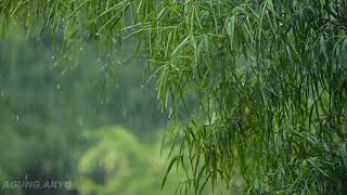 Download lagu Musik relaksasi di sertai suara hujan | durasi pendek mp3 Download lagu Musik relaksasi di sertai suara hujan | durasi pendek mp3