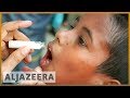 Bangladesh At Least 29 People Died Of Dengue Fever