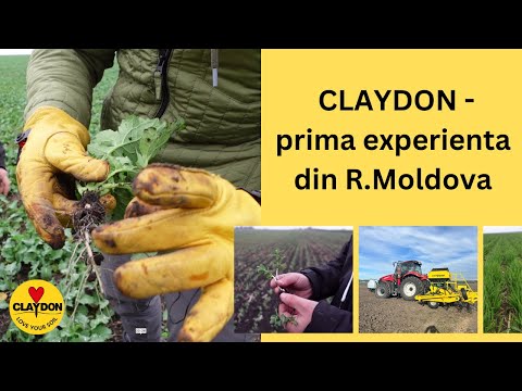 Claydon Cropwalk in R.Moldova. Young farmer on his journey towards sustainable agriculture