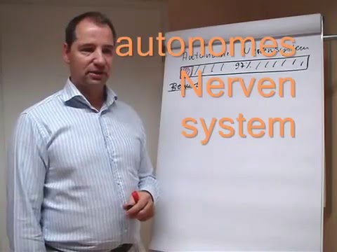 Prof.* Dr. nauk* Dr. med. Enrico Edinger - Steuerung des autonomen Nervensystems