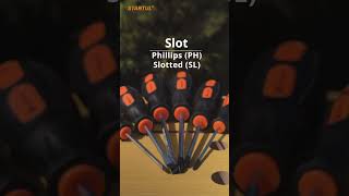 Screwdriver set 6pcs STARTUL PROFI (ST3033-6)