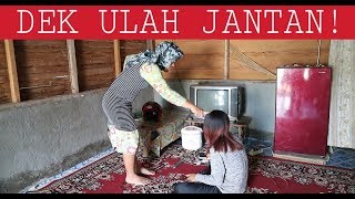 Download lagu DEK ULAH JANTAN ! mp3 Download lagu DEK ULAH JANTAN ! mp3