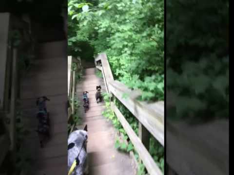 One way ticket, going down