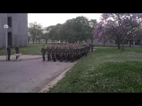 Le chant des marais,  CIE 15.04