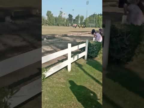 Roma Polo Club - 2023