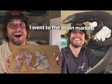 Feeding the black dragons!