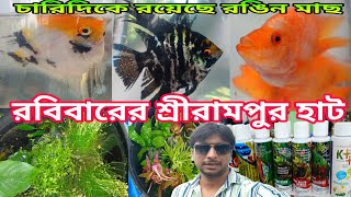 রবিবারের শ্রীরামপুর হাটে | Serampore Fish Pet Market | Aquarium Fish Price Update | Aquarium Plants 