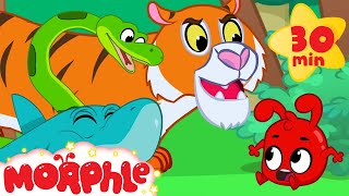 Morphle and the Scary Animal Bandits - Snake, Tiger, Shark, Lion and Dinosaur Videos for kids