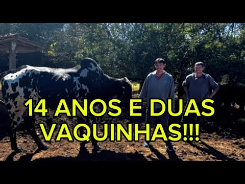 GANHEI UM DINHEIRINHO E COMPREI DUAS VAQUINHAS- Jean e Juninho os dois irmãos de Dom Viçoso mg