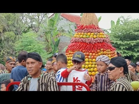 Sedekah Bumi Mojo Tradisi Jawa || Sedekah Bumi Tradisi Jawa
