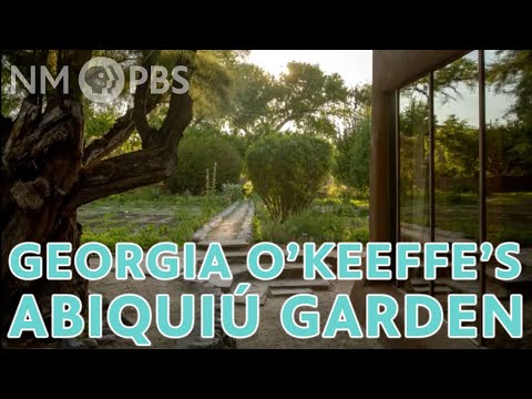 Georgia O’Keeffe’s Garden at Abiquiú | ¡COLORES! NMPBS