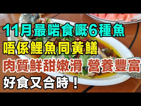 11月最啱食嘅魚，唔係鯉魚同黃鱔，而係呢6種！肉質鮮甜嫩滑，營養豐富，好食又合時！#健康你要知 #養生唔好中伏 #食物真相揭秘 #廚房智慧 #飲食要清淡 #食得健康 #你唔知的營養知識 #街市買餸攻略