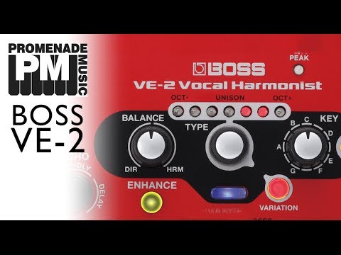 BOSS VE-2 Vocal Harmonist