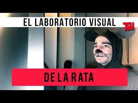 La Rata | El Laboratorio Visual