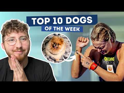 She Won a Gold Medal For Her Dog | Top 10 Dogs of the Week!