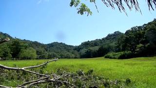 preview picture of video 'Zip Line in Roatan, Honduras'