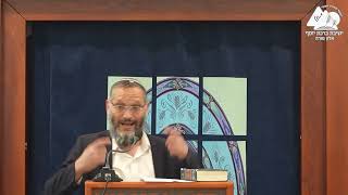 משקל החסידות והאמת והשלום אהבו | הרב אריאל בראלי (ישיבת ברכת יוסף - אלון מורה) - התמונה מוצגת ישירות מתוך אתר האינטרנט יוטיוב. זכויות היוצרים בתמונה שייכות ליוצרה. קישור קרדיט למקור התוכן נמצא בתוך דף הסרטון משקל החסידות והאמת והשלום אהבו | הרב אריאל בראלי (ישיבת ברכת יוסף - אלון מורה) - התמונה מוצגת ישירות מתוך אתר האינטרנט יוטיוב. זכויות היוצרים בתמונה שייכות ליוצרה. קישור קרדיט למקור התוכן נמצא בתוך דף הסרטון