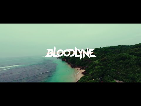 Bloodlyne - Don't Say I Never Loved You (DSINLY) | Official Music Video