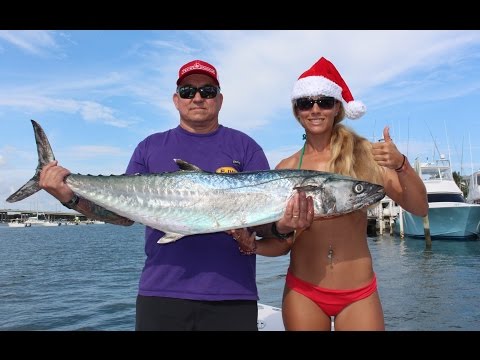 How To Fishing: Kingfish Rig with Live Bait Stinger GoPro Video