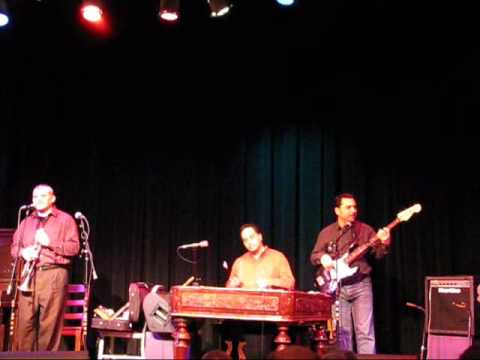 Kalman Balogh Gypsy Cimbalom Band Show in Minneapolis (Aranyeső)