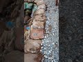 COMPLETION Earthen Pond Construction