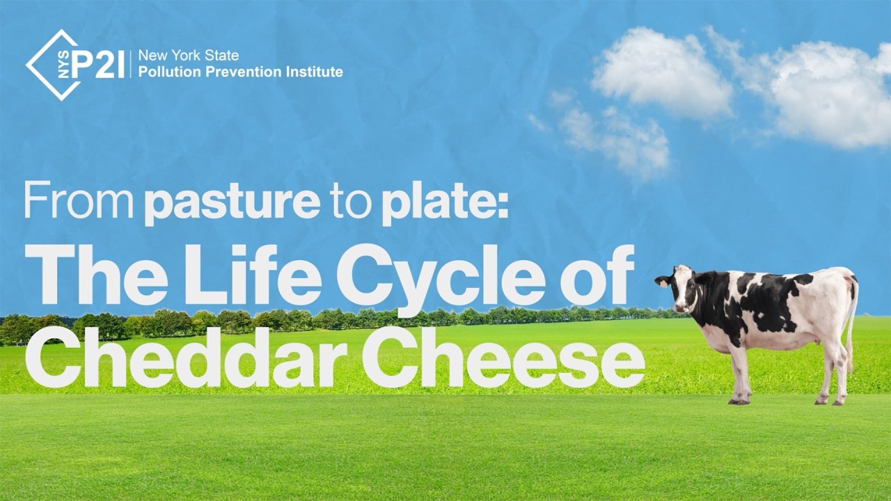 From Pasture to Plate: Life Cycle of Cheese video