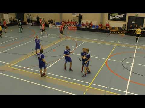 Maalikooste LNM - Tiikerit 16.03.2019