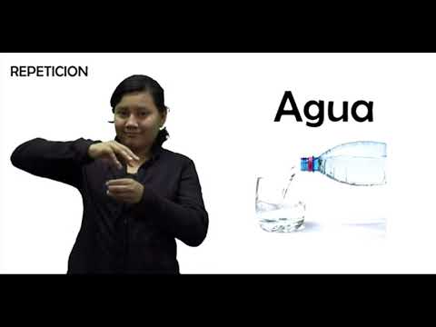 La Sopa de Frijoles: Palabras importantes