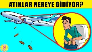 Google’da Aratmadan Bilemediğiniz 15 Soru