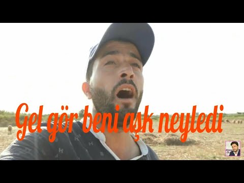 Pervin Seferov - Gel Gör beni aşk neyledi - Canlı
